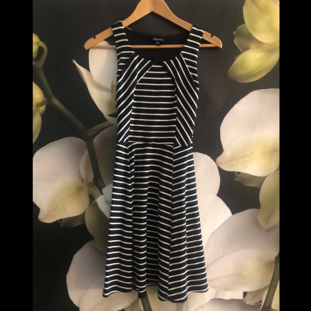 Le Château Skater Style Mini Dress